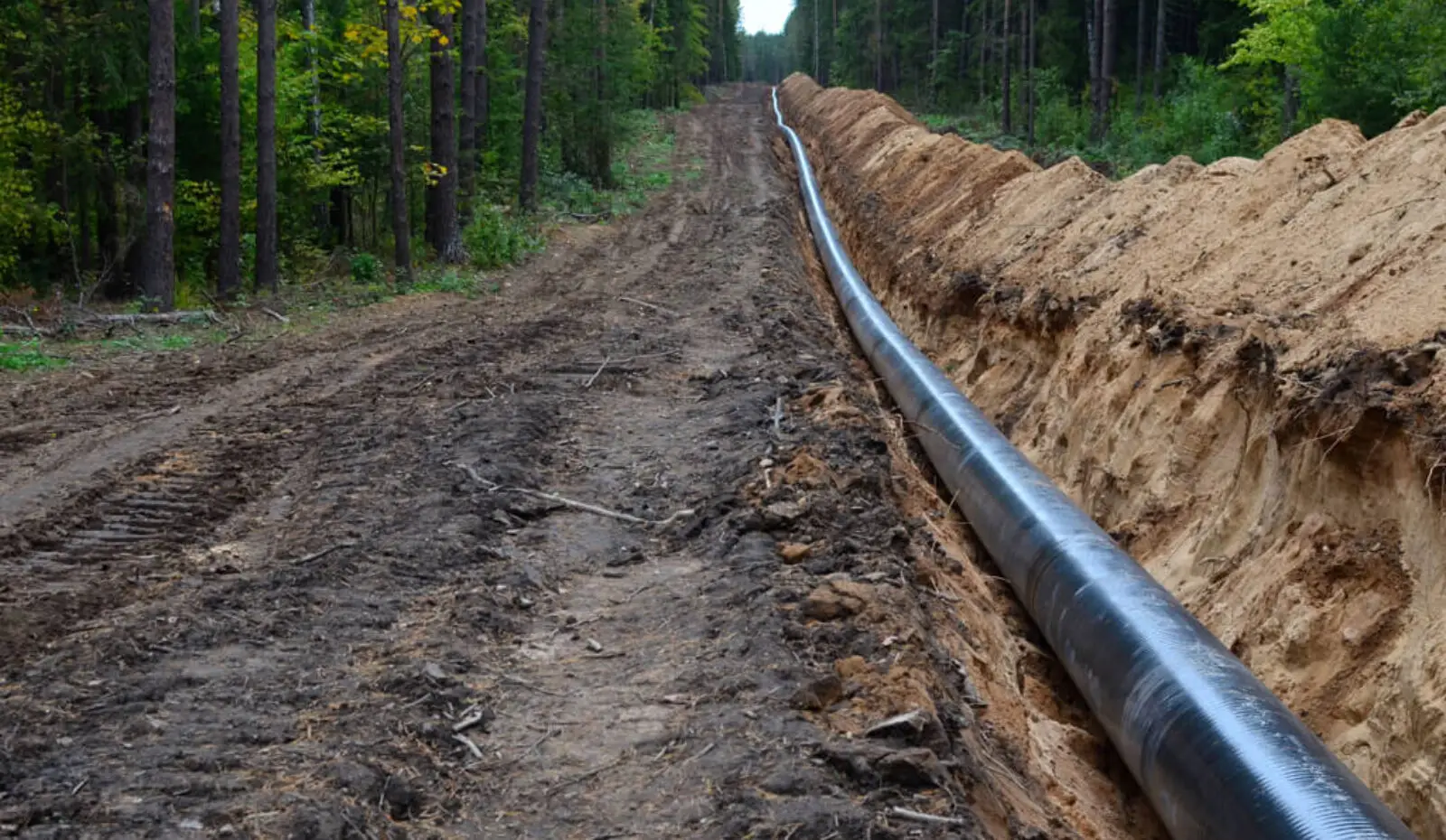 underground pipeline construction through forest clearing